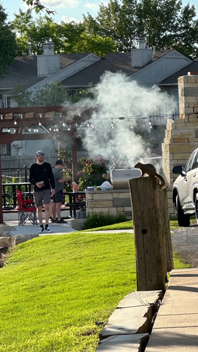 Adri Mozeris tweet media