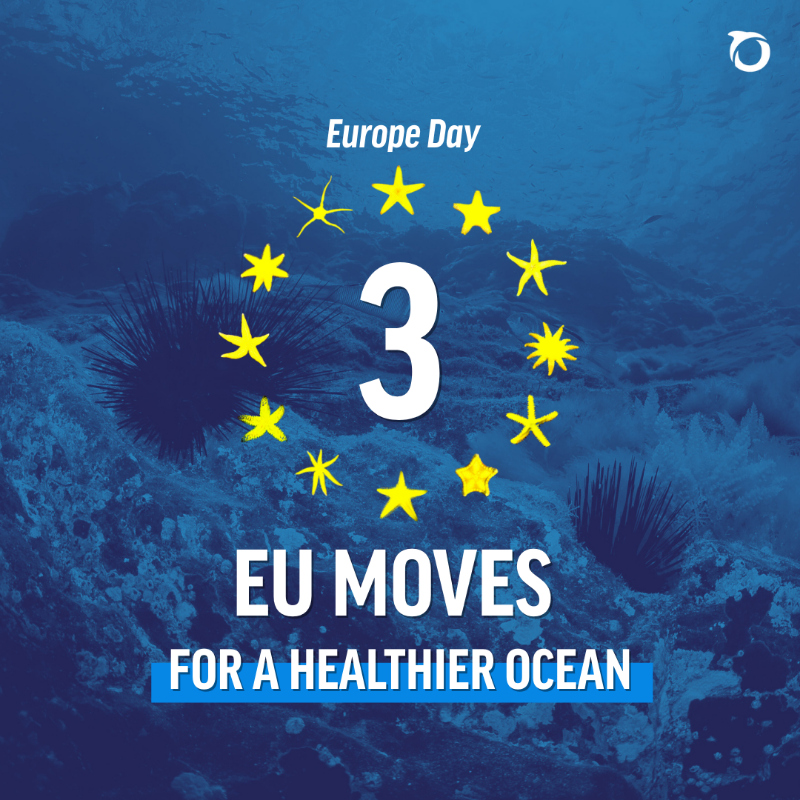 OceanaEurope's tweet photo. Today is #EuropeDay, a good moment to reflect on what the EU has done to protect our ocean. 🇪🇺🌊

But there’s still a long way to go. Oceana campaigns for stronger, science-based marine protection to keep driving real change in Europe. 💙