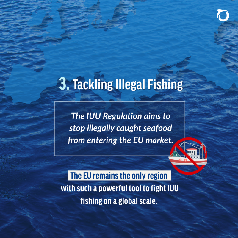 OceanaEurope's tweet photo. Today is #EuropeDay, a good moment to reflect on what the EU has done to protect our ocean. 🇪🇺🌊

But there’s still a long way to go. Oceana campaigns for stronger, science-based marine protection to keep driving real change in Europe. 💙