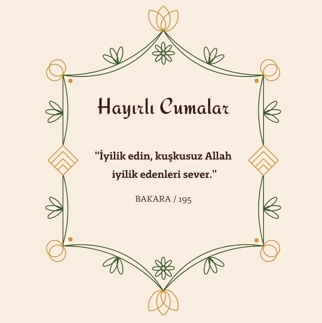 capanoglu_sedat's tweet photo. https://t.co/urYQNq8wZd