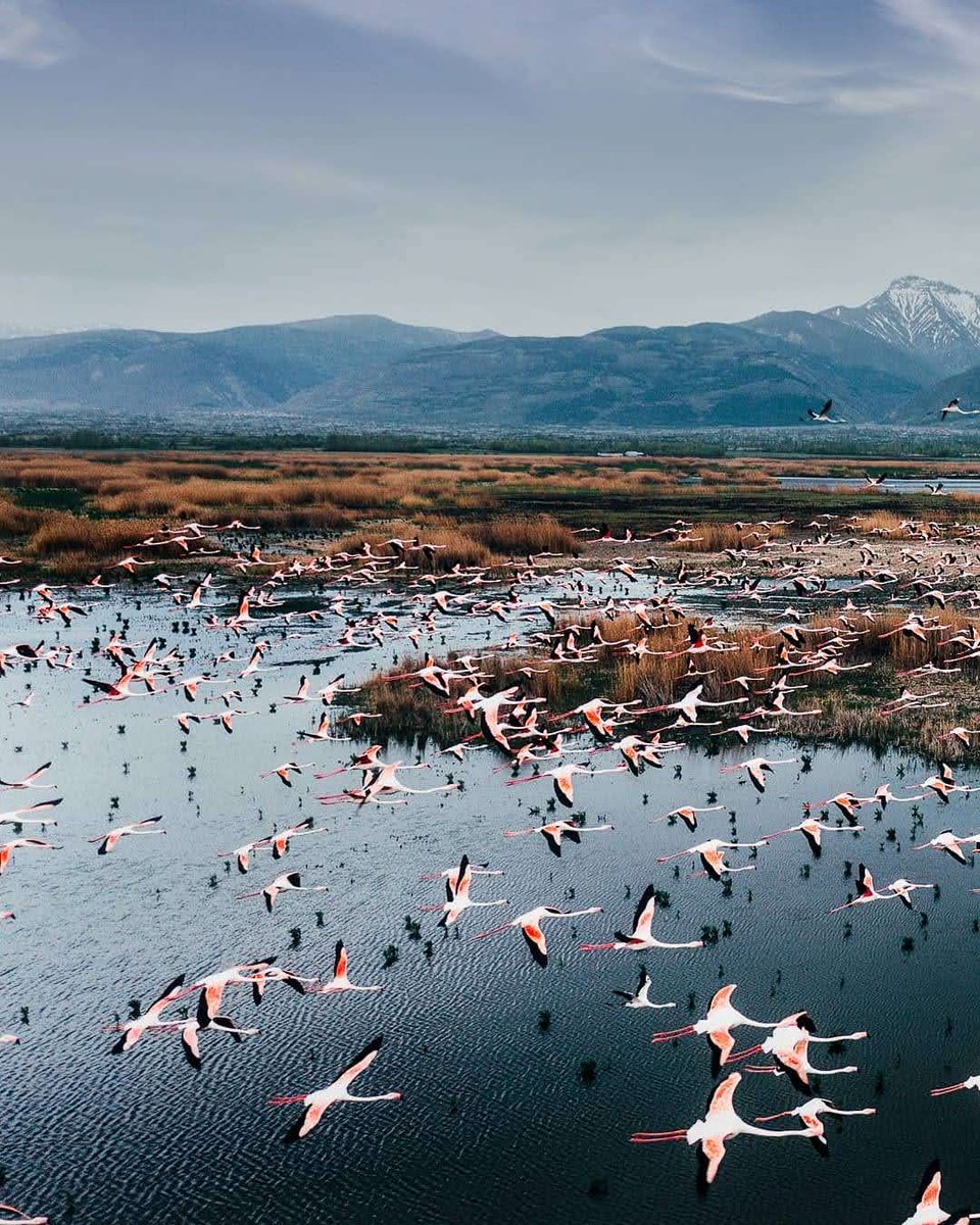 Feathers in flight, peace in sight. 🕊️

As the seasons shift, Eber Lake in Afyonkarahisar welcomes its winged visitors once again—a tranquil meeting point for migratory birds and a gentle reminder of nature’s graceful rhythm. #WorldMigratoryBirdDay 

📸 IG: hasanilkay