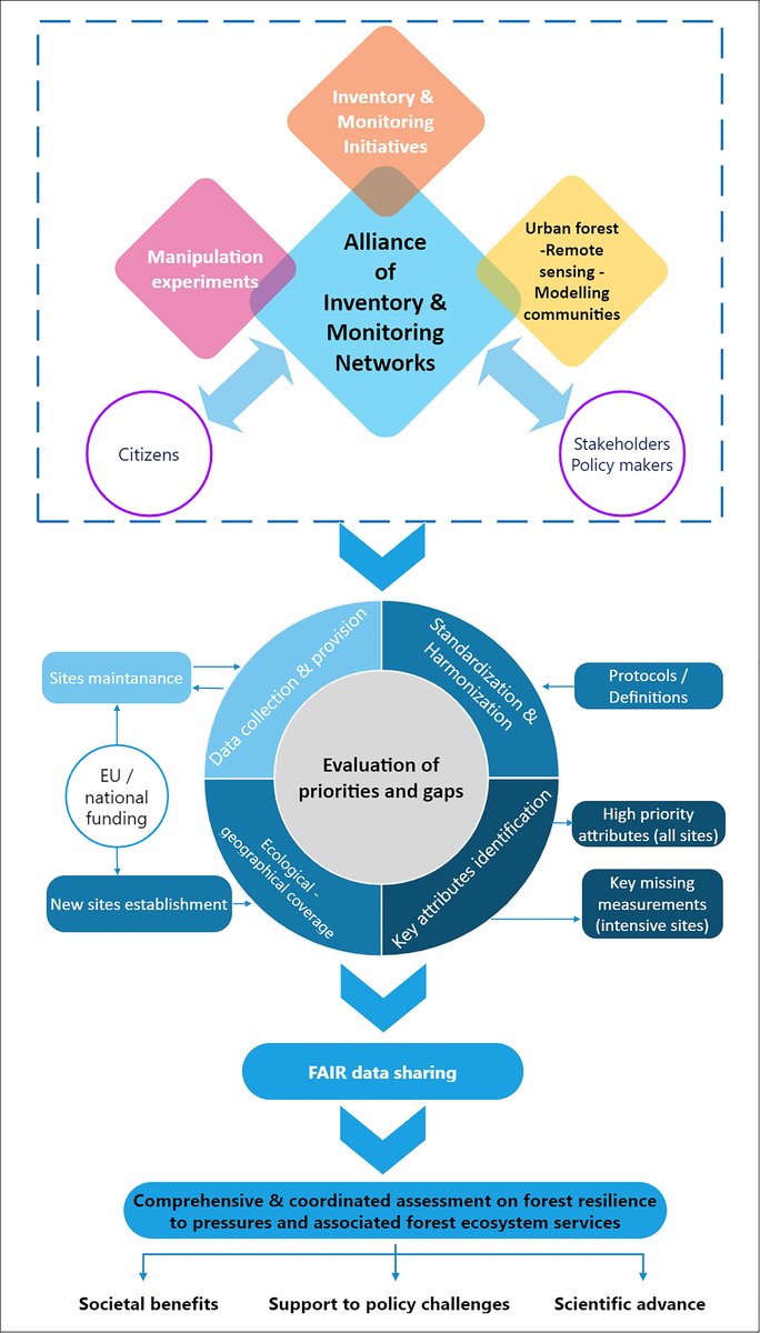 Plants People Planet π±π₯π (@plantspplplanet) on Twitter photo Building synergies among ground-based forest inventorying and monitoring networks to meet scientific, political and societal needs
<a href="/RossGuerrieri/">Rossella Guerrieri</a> <a href="/MunziSilvana/">Silvana Munzi</a> <a href="/samdeolai/">Prof. Sami Ullah</a> <a href="/BAIEbgi/">Mirco Migliavacca</a> <a href="/IvikaOstonen/">Ivika Ostonen</a>, et al.
π nph.onlinelibrary.wiley.com/doi/full/10.10β¦
<a href="/CA_Cleanforest/">CLEANFOREST COST Action</a> #COSTactions #ForestPolicy Building synergies among ground-based forest inventorying and monitoring networks to meet scientific, political and societal needs
<a href="/RossGuerrieri/">Rossella Guerrieri</a> <a href="/MunziSilvana/">Silvana Munzi</a> <a href="/samdeolai/">Prof. Sami Ullah</a> <a href="/BAIEbgi/">Mirco Migliavacca</a> <a href="/IvikaOstonen/">Ivika Ostonen</a>, et al.
π nph.onlinelibrary.wiley.com/doi/full/10.10β¦
<a href="/CA_Cleanforest/">CLEANFOREST COST Action</a> #COSTactions #ForestPolicy