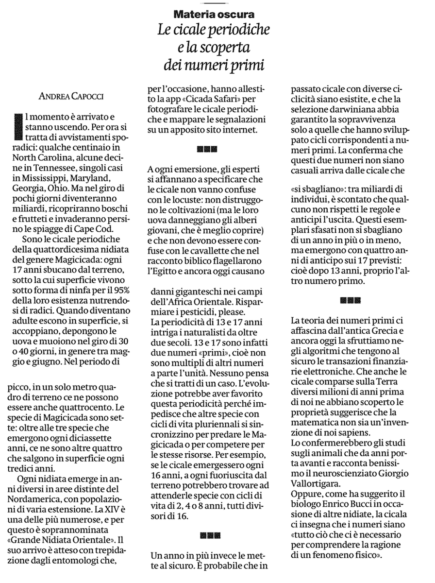 gVallortigara's tweet photo. Su @ilmanifesto  un articolo su cicale e matematica di @andcapocci https://t.co/7hZLXp5aDK