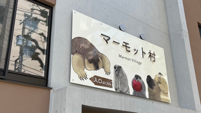 モデルプレス tweet media