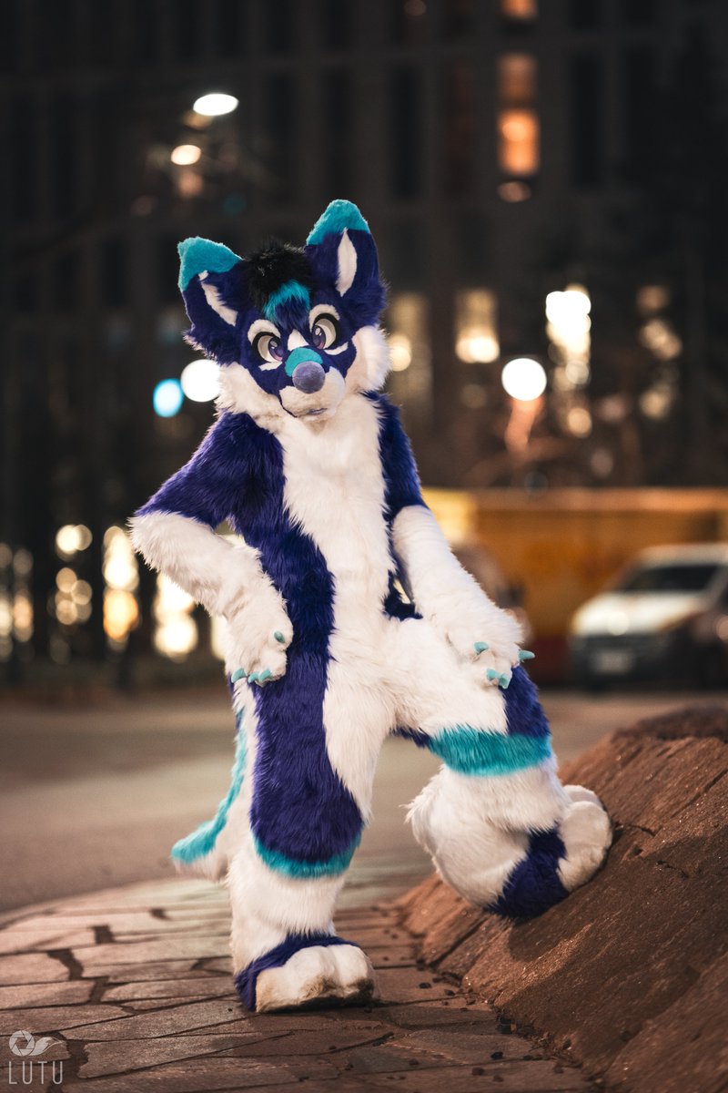 Happy #FursuitFriday!

📷 <a href="/Lutufox/">Lutu 💙💛</a> 
🪡 <a href="/AltaWoof/">Alta!! 🔜 Pawske, MFF</a> 
📍 #NFC25