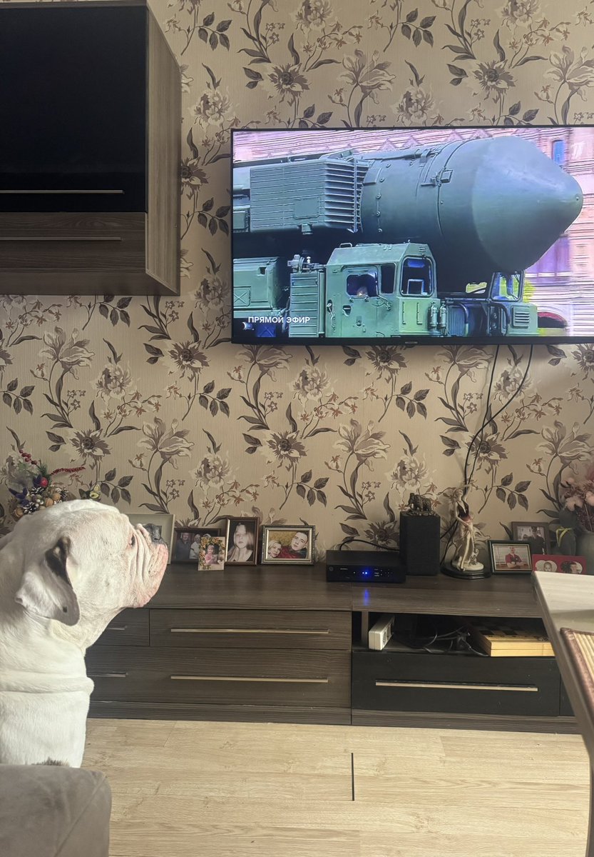 Нам сняли швы и смотрим парад👍