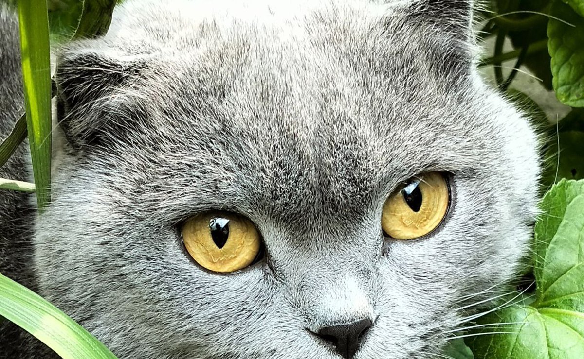 яка ж гарна дитина🥹