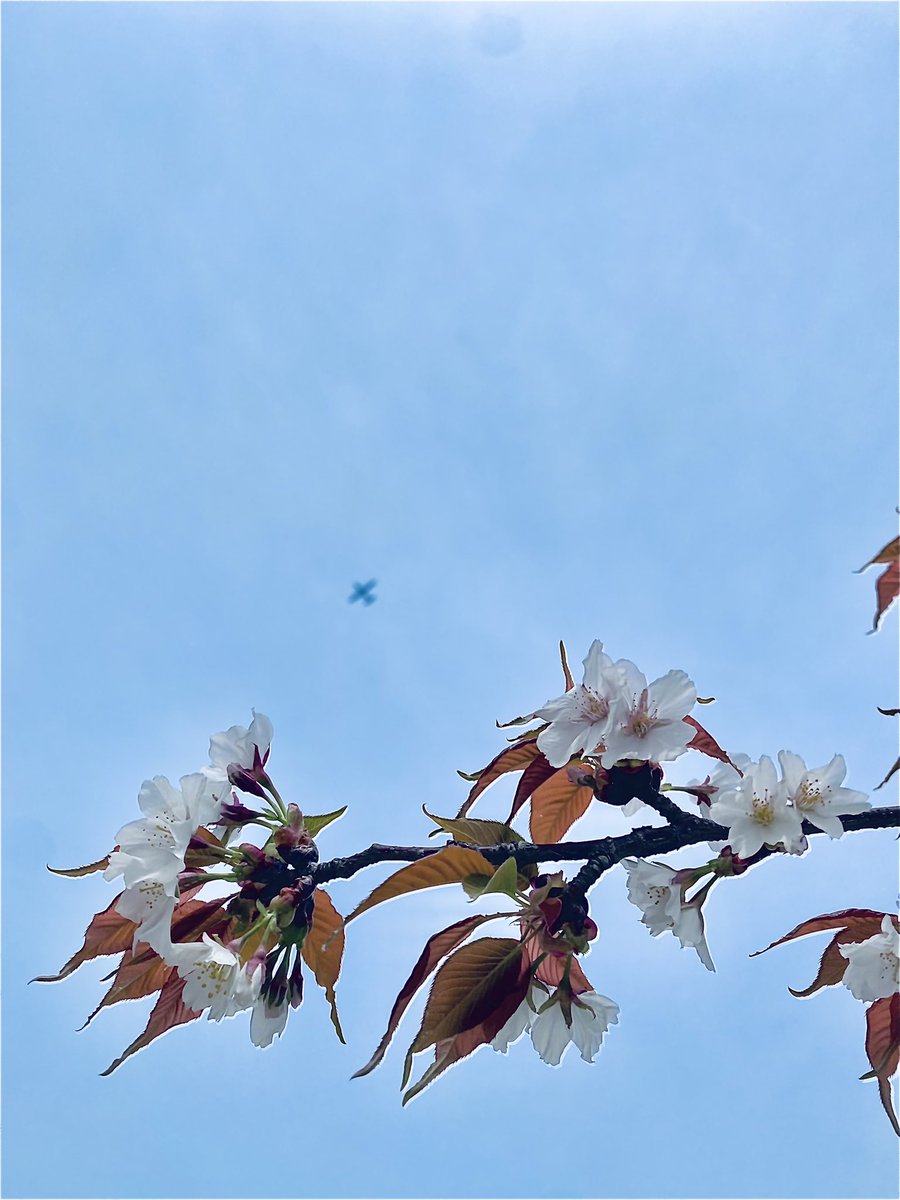 اللهم إني أسألك
بالاً مطمئناً وشاكراً لما قسمته لي

                          جمعة مباركة