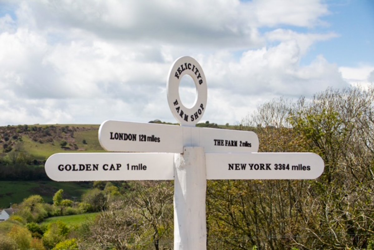 pmj_photos's tweet image. From Golden Cap to New York, this Dorset signpost covers all bases. A reminder of just how far we’ve been, and how far we still dream of going. Spotted on a spring wander near Felicity’s Farm Shop.
#FingerpostFriday #DorsetViews #GoldenCap #TravelThoughts #ThePhotoHour