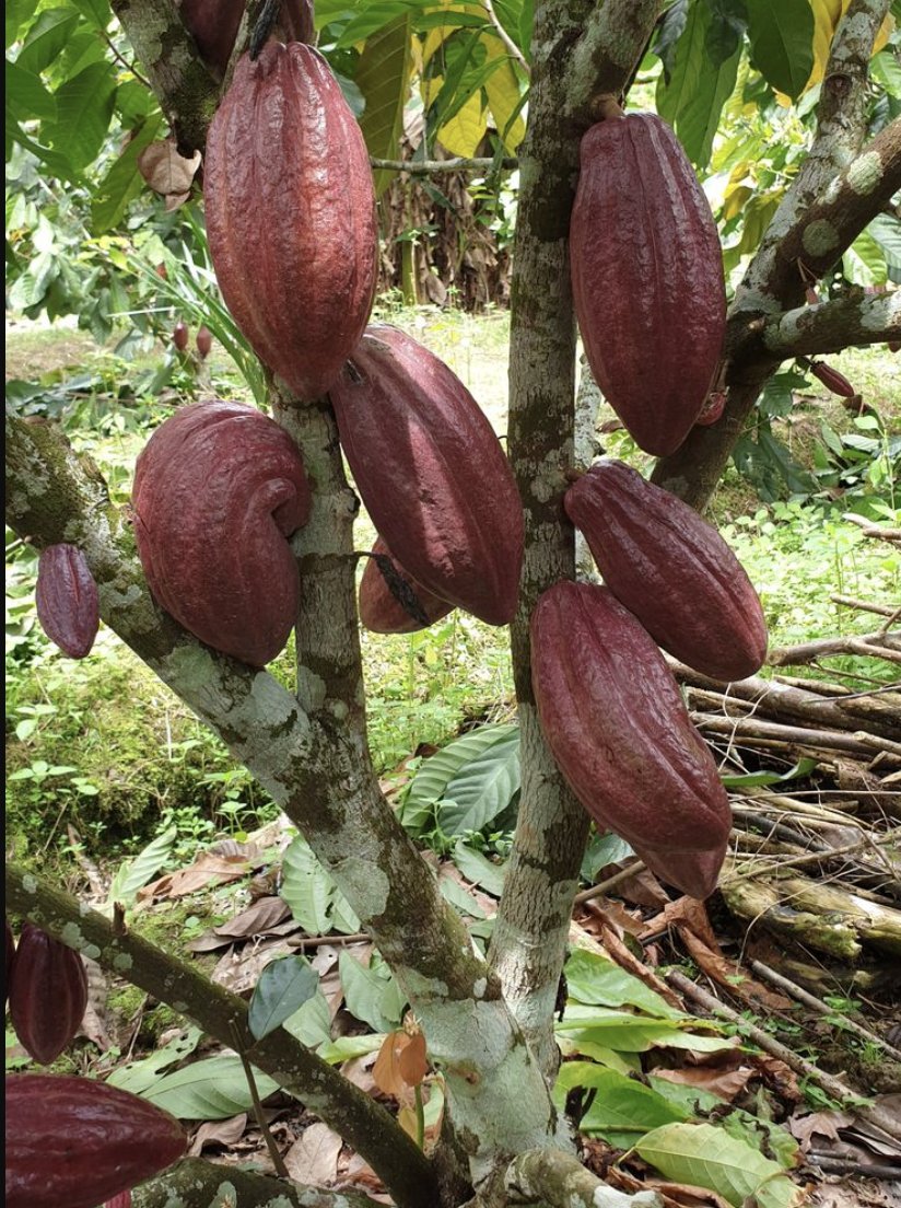 Eat Simple tweet media