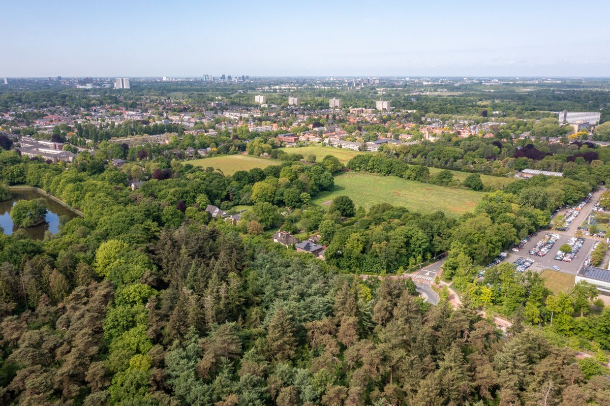 AM Gebiedsontwikkeling tweet media