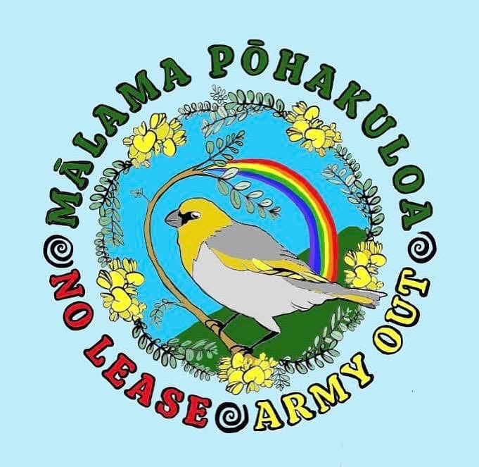 Kiaʻi Report 🌋 (@kiai_report) on Twitter photo 