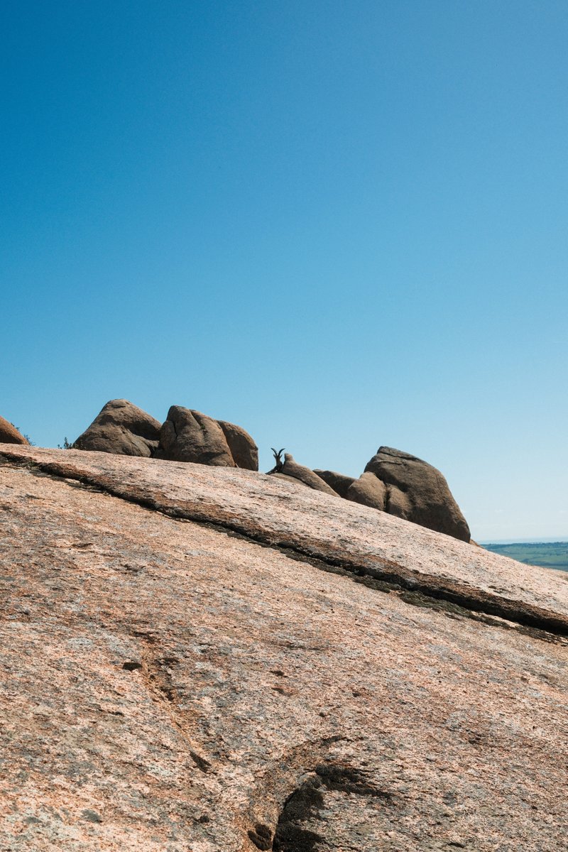 bennyqp's tweet image. Already some time ago, but here’s my 2nd #BreakTheRoutine 🤙 Explored some areas around Madrid, nothing far, just spots I’d never been to. It was awesome!!

I think stepping out of your routine is one of the most refreshing and enriching things you can do!