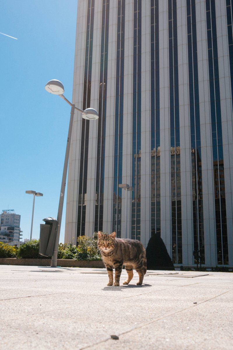 bennyqp's tweet image. Already some time ago, but here’s my 2nd #BreakTheRoutine 🤙 Explored some areas around Madrid, nothing far, just spots I’d never been to. It was awesome!!

I think stepping out of your routine is one of the most refreshing and enriching things you can do!