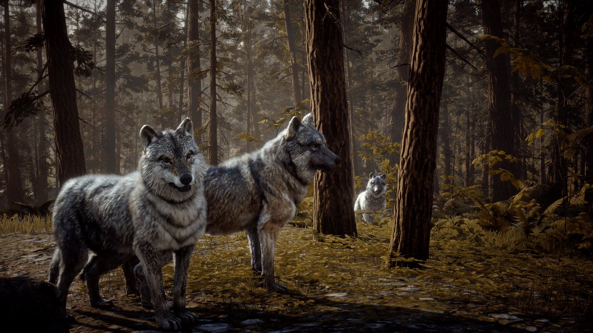 SpaceCamel93's tweet photo. Animals of RDR 2.

The grey wolves. https://t.co/rkJs1zljnh