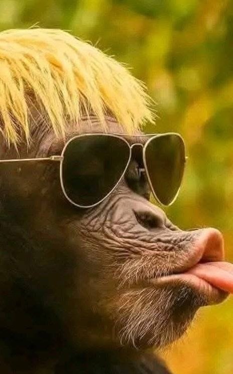 richarddaIV's tweet photo. @Inter https://t.co/UZge02aHdJ
