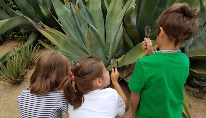 REAL JARDÍN BOTÁNICO (@rjbotanico) on Twitter photo 🌿 ¿Te apuntas a una yincana científica al aire libre en el <a href="/RJBOTANICO/">REAL JARDÍN BOTÁNICO</a> con <a href="/CIB_CSIC/">CIB Margarita Salas (CSIC)</a>?
<a href="/FECYT_Ciencia/">FECYT</a> #DiaDelaFascinacionPorLasPlantas
👧🧒 Para peques de 7 a 12 años (con adulto)
📅 18 de mayo
⏰ Turnos de 11:00 a 12:40
🎟️ Gratuita con inscripción previa: n9.cl/plantasymuseos 🌿 ¿Te apuntas a una yincana científica al aire libre en el <a href="/RJBOTANICO/">REAL JARDÍN BOTÁNICO</a> con <a href="/CIB_CSIC/">CIB Margarita Salas (CSIC)</a>?
<a href="/FECYT_Ciencia/">FECYT</a> #DiaDelaFascinacionPorLasPlantas
👧🧒 Para peques de 7 a 12 años (con adulto)
📅 18 de mayo
⏰ Turnos de 11:00 a 12:40
🎟️ Gratuita con inscripción previa: n9.cl/plantasymuseos