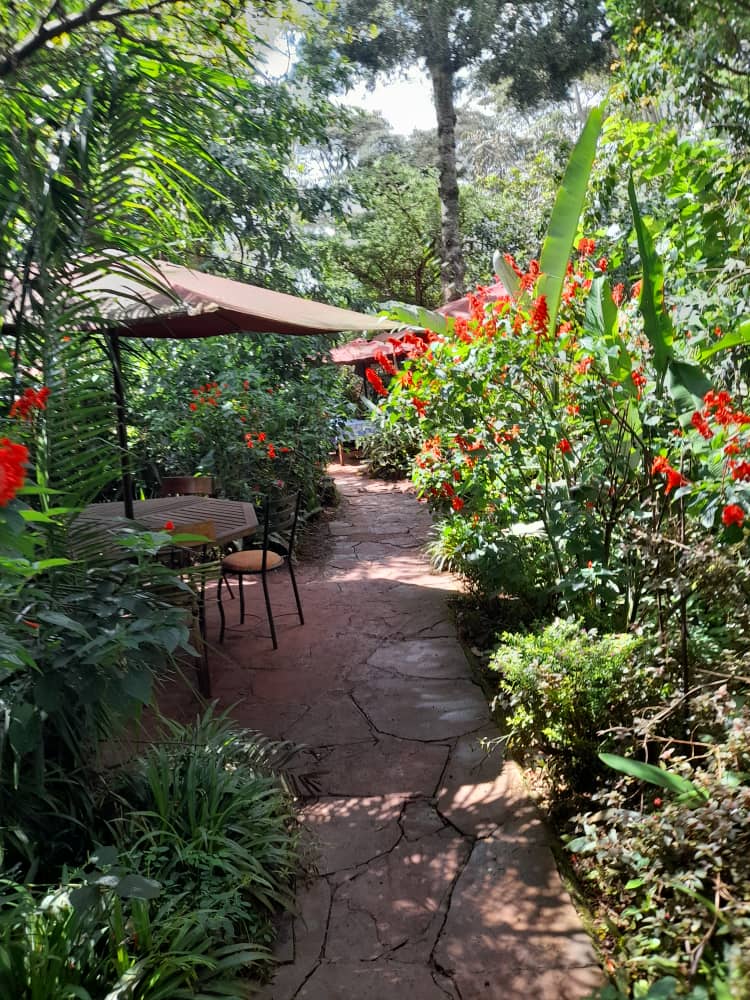 Rural Africa 
Visiting Mlango Farm in Kenya
Cool weather near Limuru. Red soils. Organic Farming 

Don't leave land IDLE