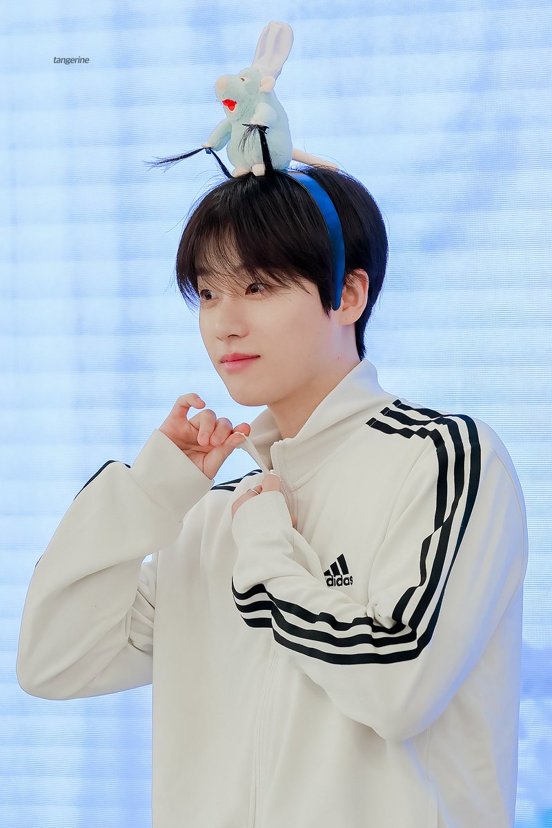 감귤🍊 tweet media