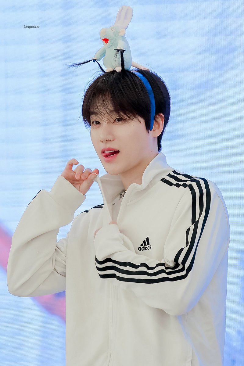 감귤🍊 tweet media