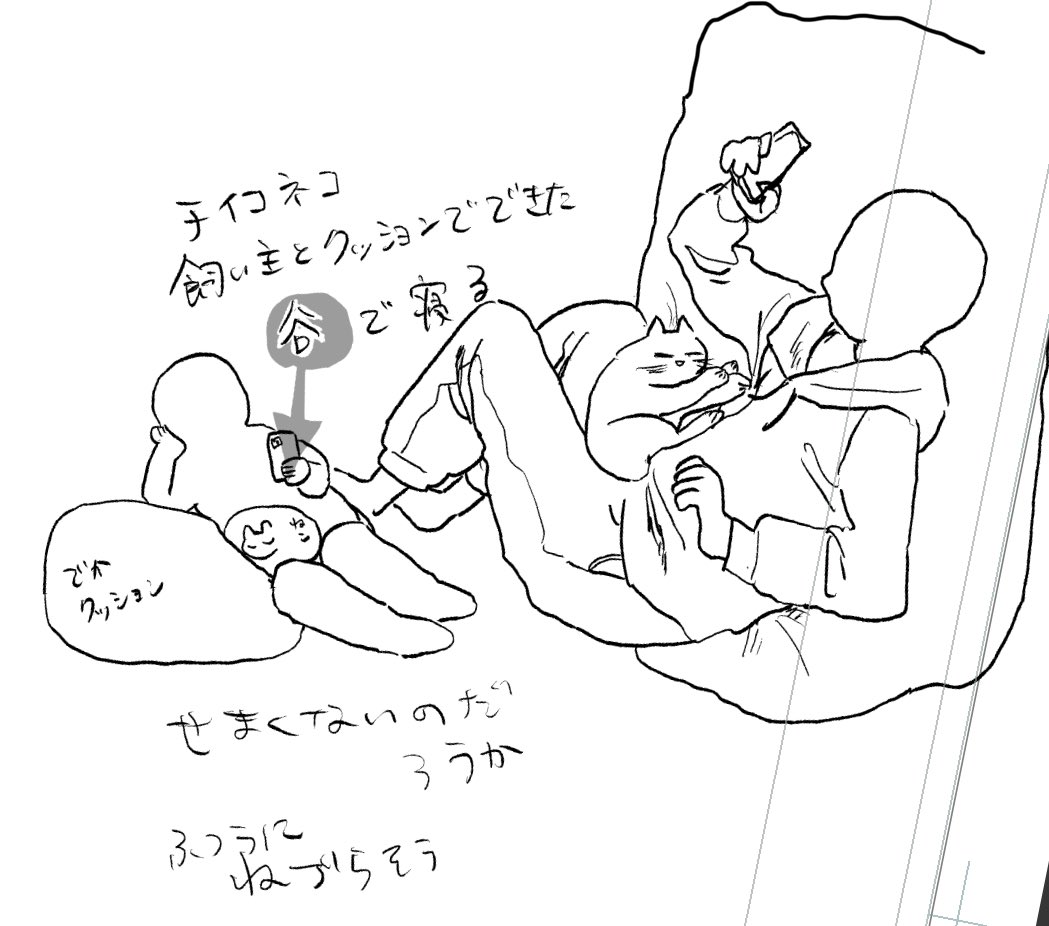 足痺れてきた…とおもったらどいてくれた  やさしい 