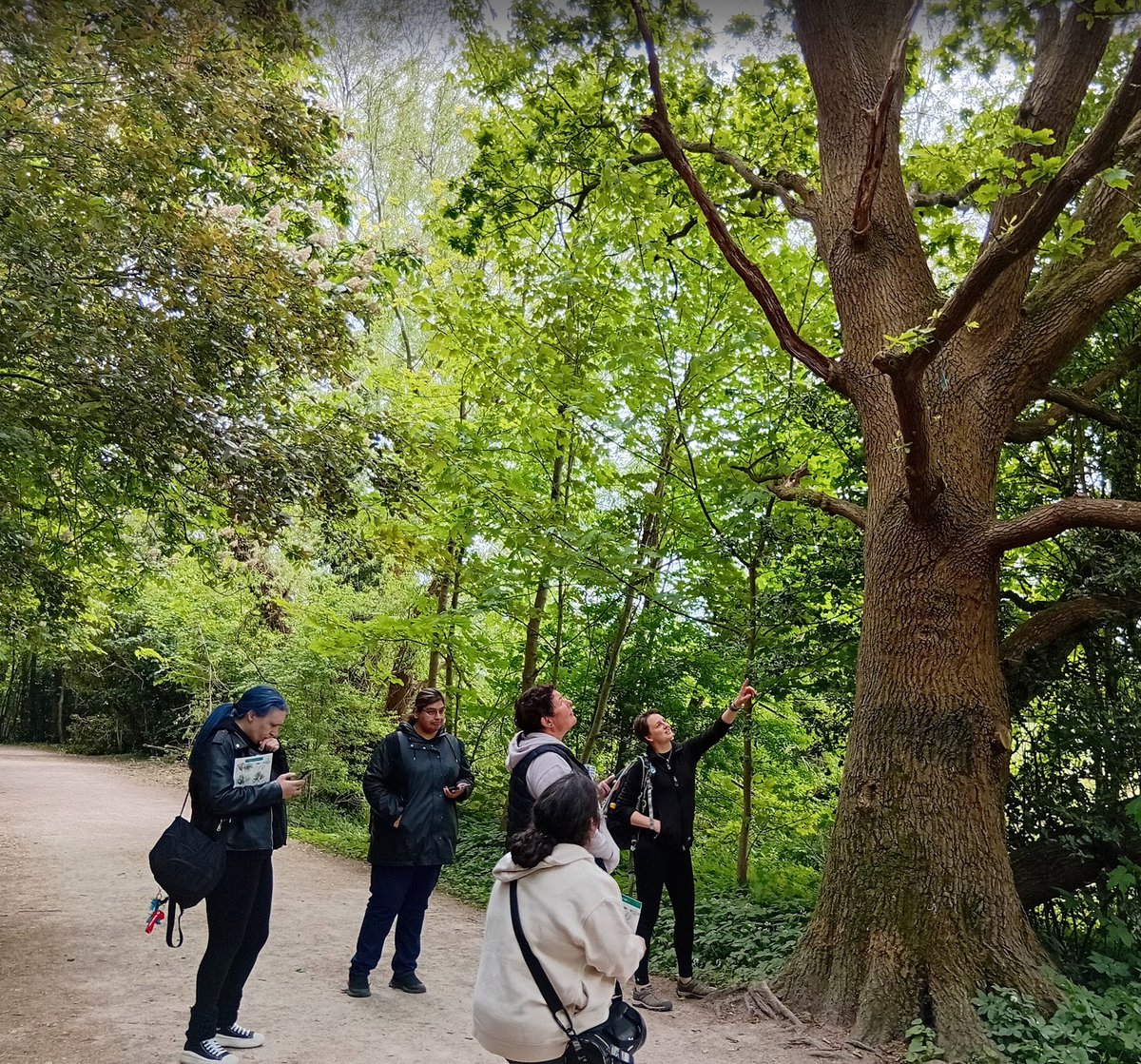 Better Things #NeverMoreNeeded (@betterthings14) on Twitter photo Brilliant time in Wythenshawe Park yesterday with Beth from <a href="/NacroGMOutdoor/">Greater Manchester Outdoor Learning</a> learning loads of outdoor stuff. Insect, bird and tree ID, fire lighting and den building.
Amazing day, loved every minute. Brilliant time in Wythenshawe Park yesterday with Beth from <a href="/NacroGMOutdoor/">Greater Manchester Outdoor Learning</a> learning loads of outdoor stuff. Insect, bird and tree ID, fire lighting and den building.
Amazing day, loved every minute.