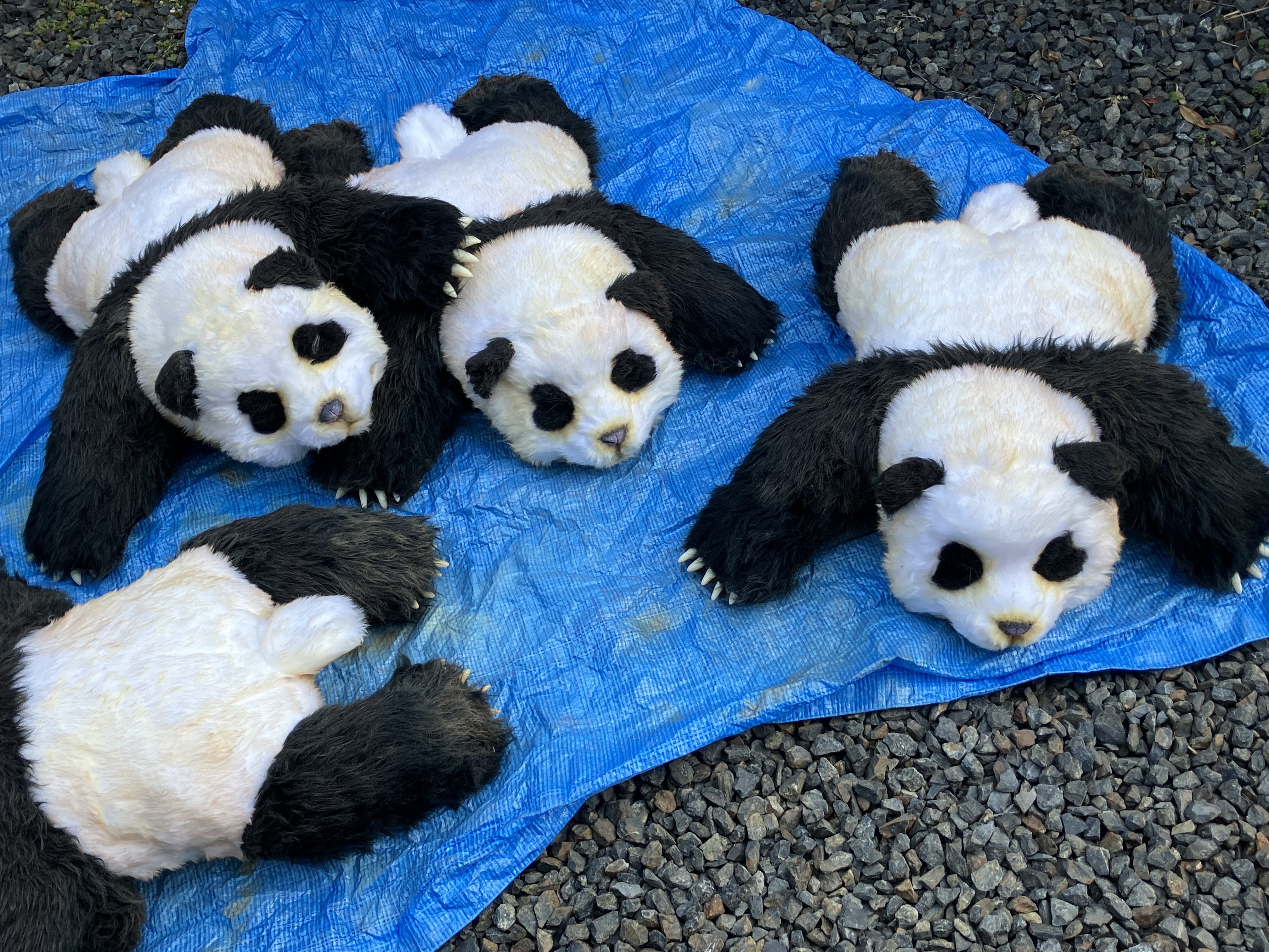 けもケ16 ホビー・楽器・アート サンにゃ ケモノ 着ぐるみ 水色