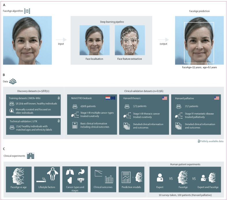 The Lancet Digital Health (@lancetdigitalh) on Twitter photo NEW Research: FaceAge, a #DeepLearning system to estimate biological age from face photographs to improve prognostication: a model development and validation study. <a href="/HugoAerts/">Hugo Aerts</a> <a href="/denbonte/">Dennis Bontempi, Ph.D.</a> <a href="/Dr_RayMak/">Ray Mak, MD</a>
Read it here: thelancet.com/journals/landi… NEW Research: FaceAge, a #DeepLearning system to estimate biological age from face photographs to improve prognostication: a model development and validation study. <a href="/HugoAerts/">Hugo Aerts</a> <a href="/denbonte/">Dennis Bontempi, Ph.D.</a> <a href="/Dr_RayMak/">Ray Mak, MD</a>
Read it here: thelancet.com/journals/landi…