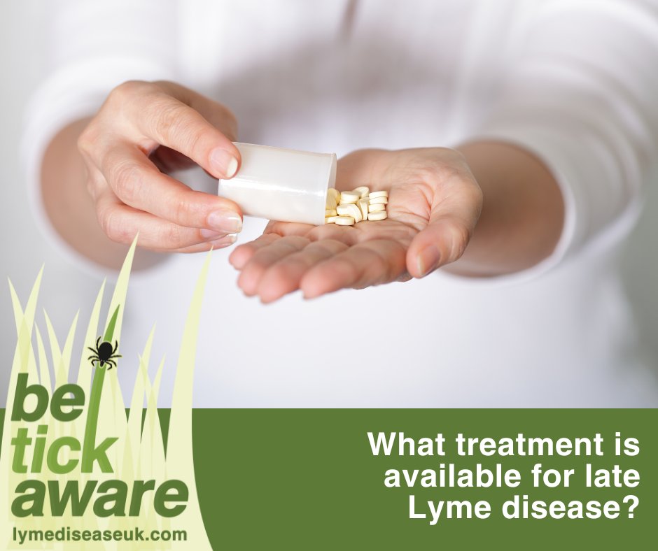 The treatment options for late Lyme disease vary depending on the practitioner. There is no universally accepted protocol.

Find out what some of the treatment approaches involve by watching our Q&amp;A interviews. lymediseaseuk.com/category/semin…

#BeTickAware #LymeDiseaseAwarenessMonth