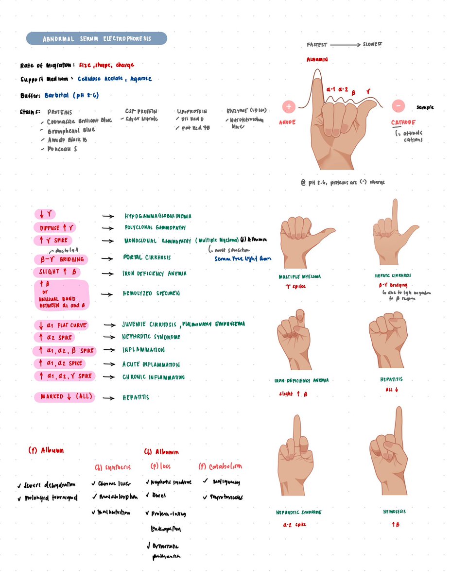 ash, RMT tweet media