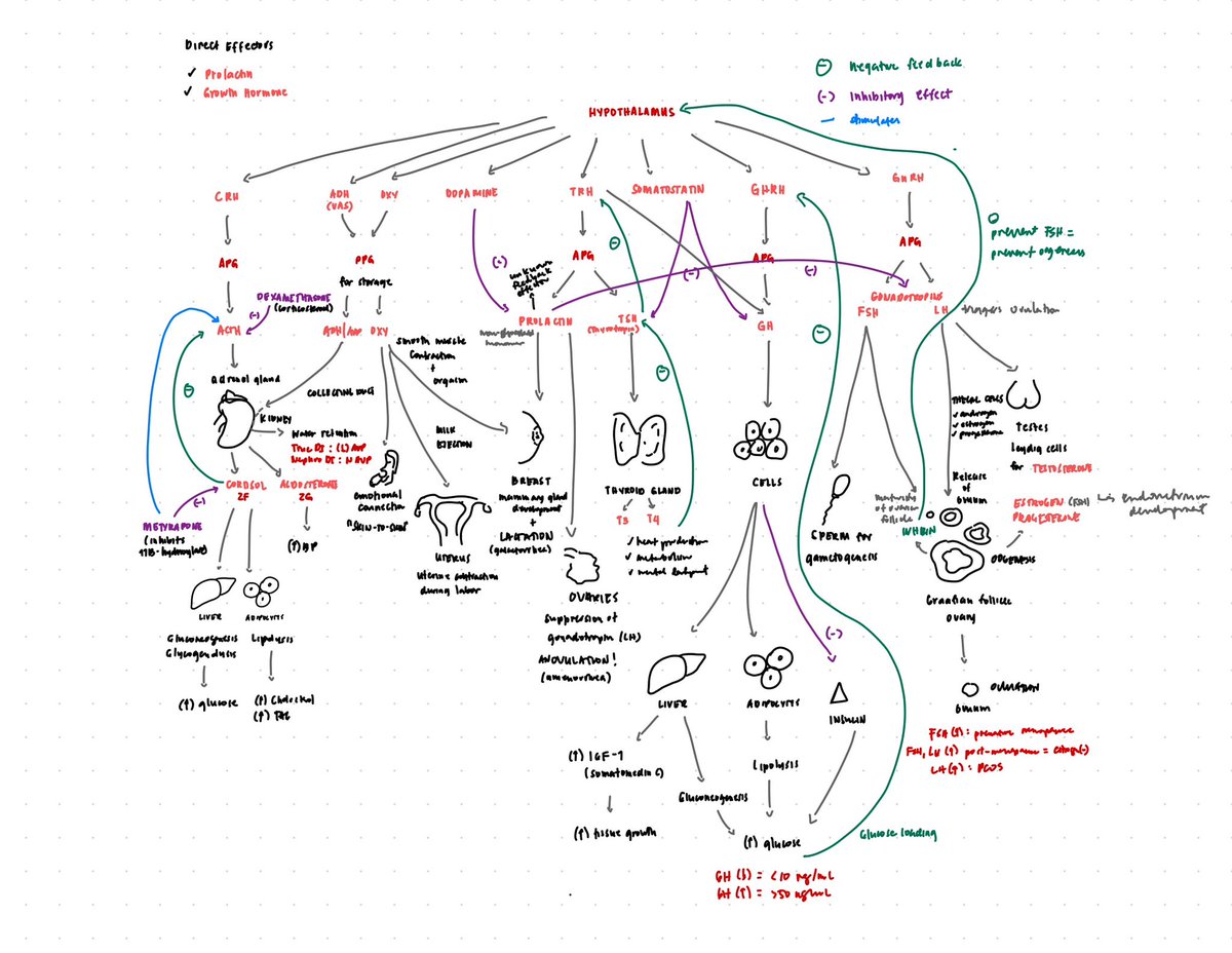 ash, RMT tweet media