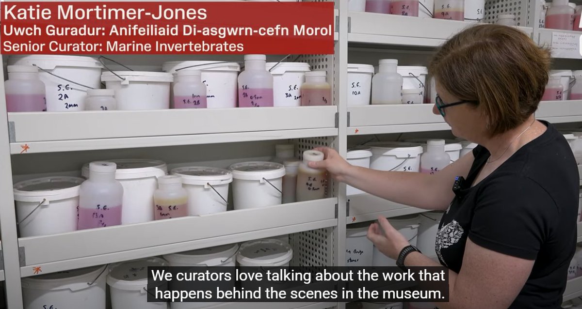 Cardiff Curator tweet media