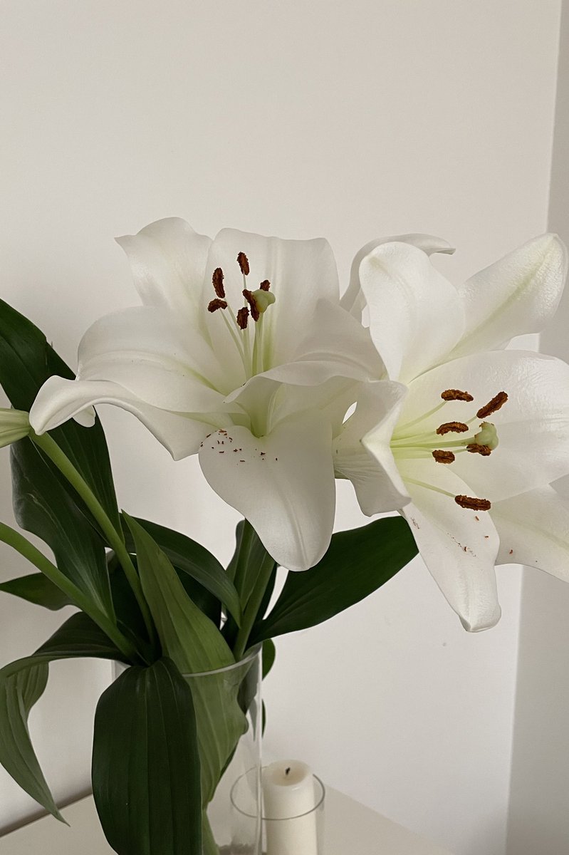 رنا بنت عبدالعزيز tweet media