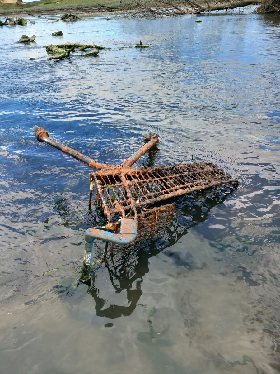 Trolleywise's tweet image. 🌿🌊 Huge thanks to everyone who joined the Ogmore River Clean-Up! We made a big impact. Your dedication to our environment is inspiring! 💚 Stay tuned for more events. #Trolleywise #OgmoreRiverCleanup #EcoWarriors