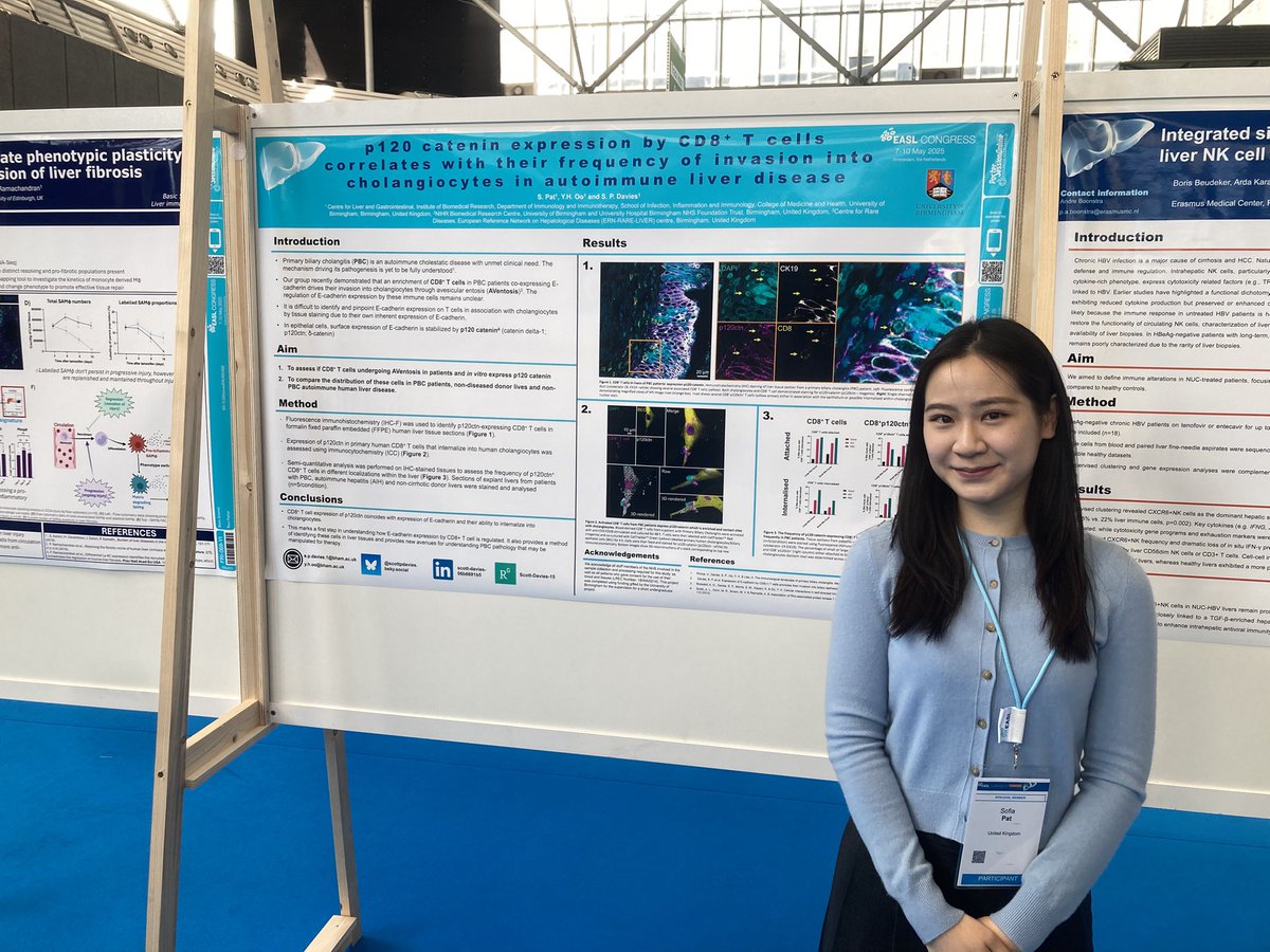 Anybody attending #EASL2025, be sure to talk to Sofia Pat who will be presenting some work she completed (as an undergrad!!) about CD8+ T cells invading Cholangiocytes - FRI-70-YI