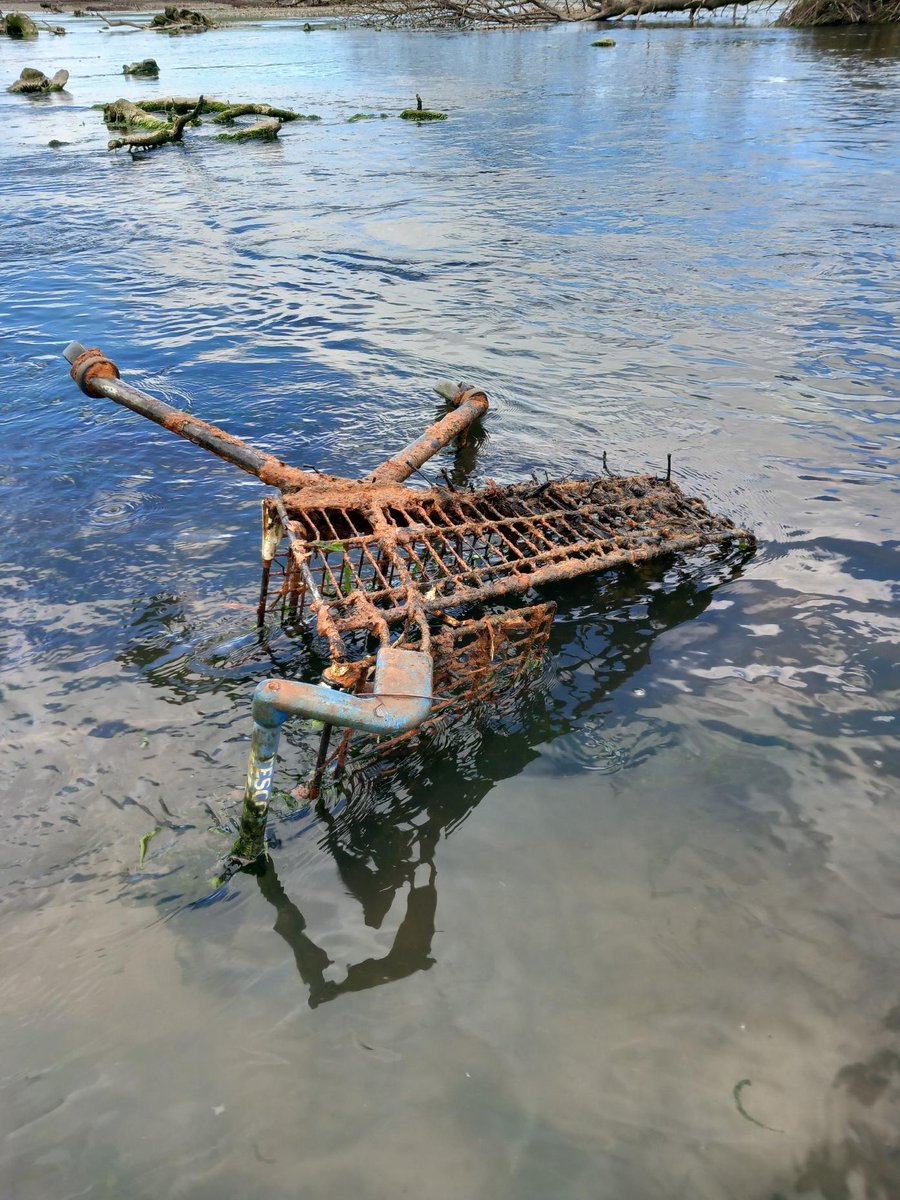 Trolleywise's tweet image. 🌿🌊 Huge thanks to everyone who joined the Ogmore River Clean-Up! We made a big impact. Your dedication to our environment is inspiring! 💚 Stay tuned for more events. #Trolleywise #OgmoreRiverCleanup #EcoWarriors