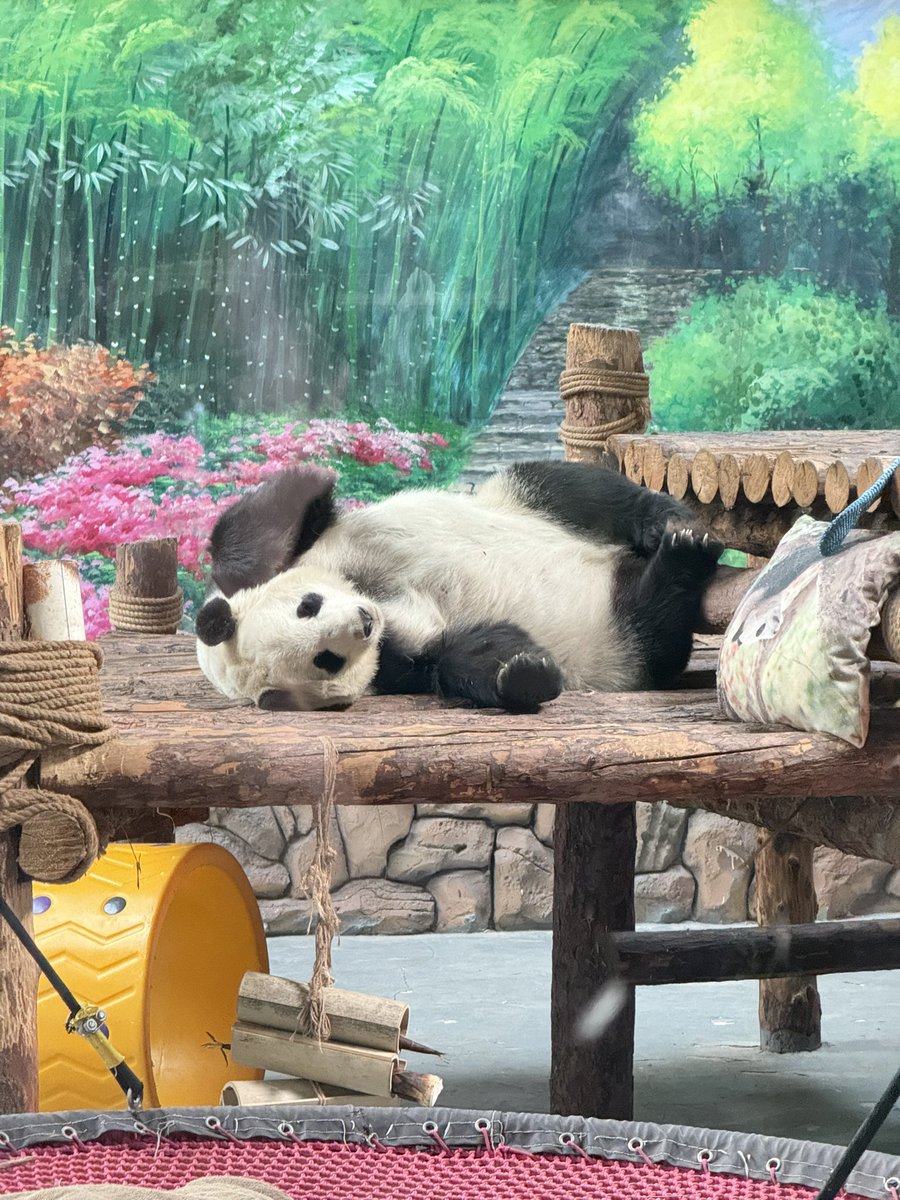 Xining Plateau Wildlife Park