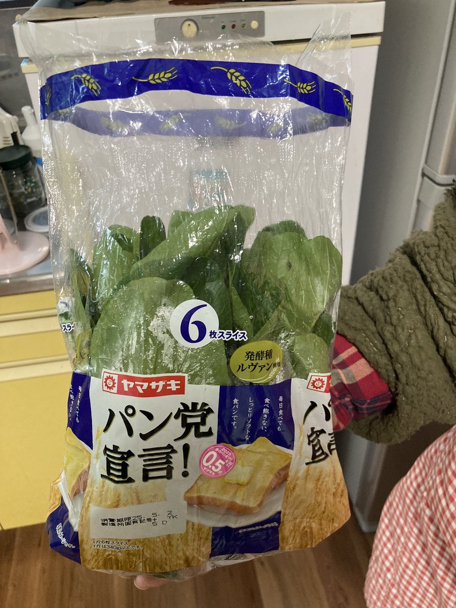 やーこ (@yalalalalalala): 