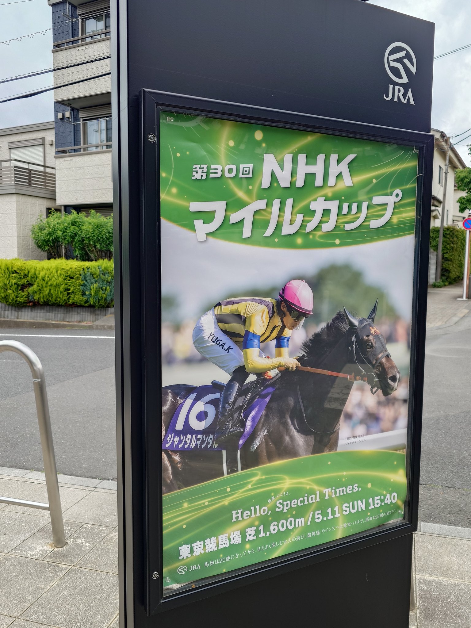芦毛ちゃん🐎🐴🫏𓃗🏇🇯🇵🇬🇧🌈🚬 on X: 