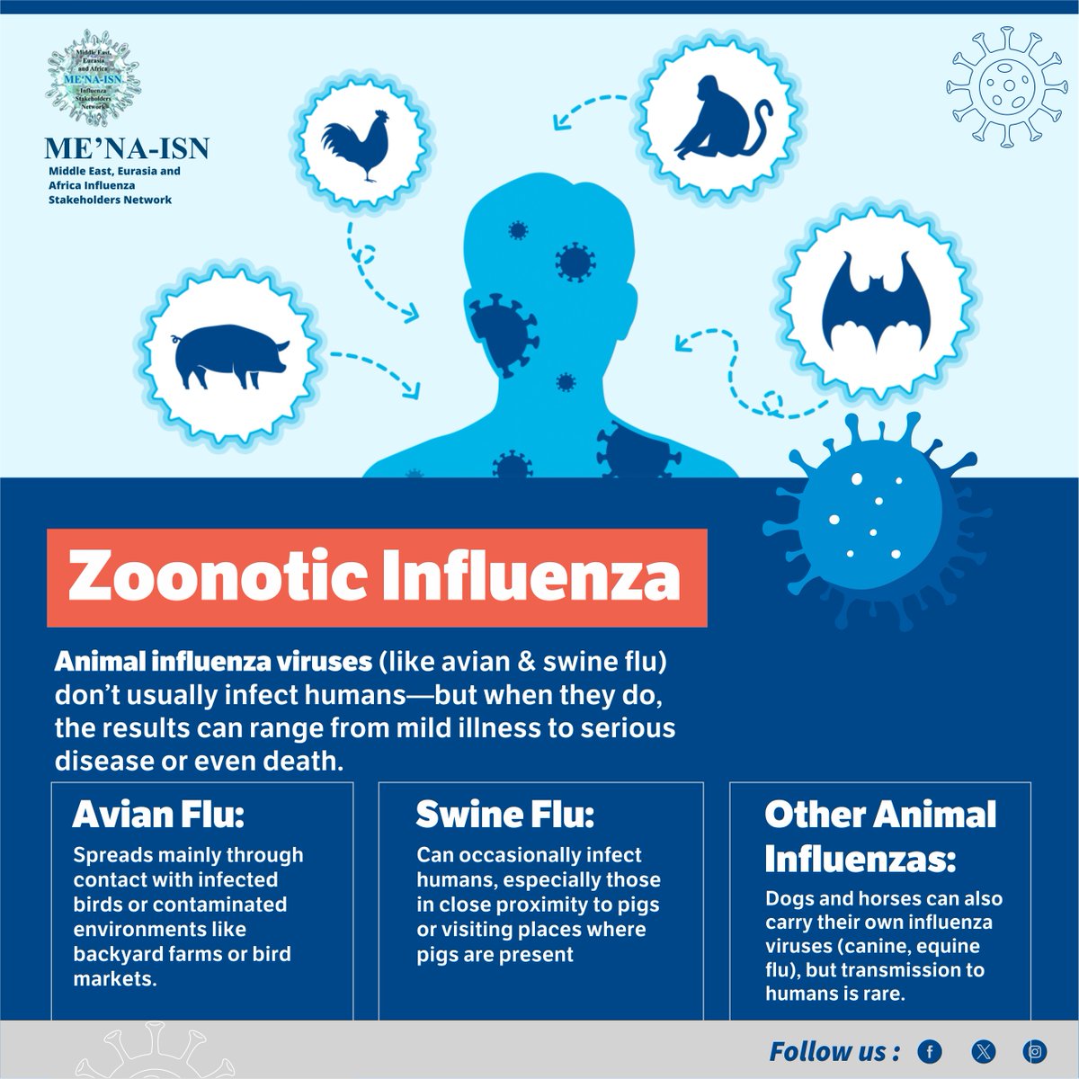 Animal flu viruses can occasionally spread to humans, causing mild to serious illness. Stay safe by avoiding close contact with infected animals. WHO is closely monitoring the risk! 🌍
#ZoonoticFlu #HealthAlert #AvianFlu #SwineFlu #mena_isn #flu