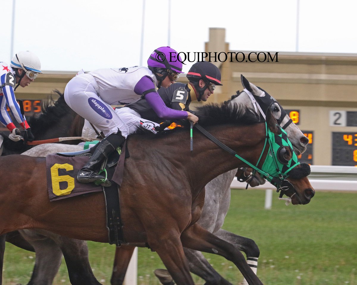 Pa HBPA (@pa_hbpa) on Twitter photo Sheltrfromthestorm (no. 6, outside) took Thursday's opener at <a href="/HollywoodPenn/">Hollywood Casino at Penn National Race Course</a> for owner Emma Steinkamp, trainer Cody Beattie, and jockey Martina Rojas.
Tonight's racing card gets underway at 5:45 pm.
📸: Equi-Photo Sheltrfromthestorm (no. 6, outside) took Thursday's opener at <a href="/HollywoodPenn/">Hollywood Casino at Penn National Race Course</a> for owner Emma Steinkamp, trainer Cody Beattie, and jockey Martina Rojas.
Tonight's racing card gets underway at 5:45 pm.
📸: Equi-Photo