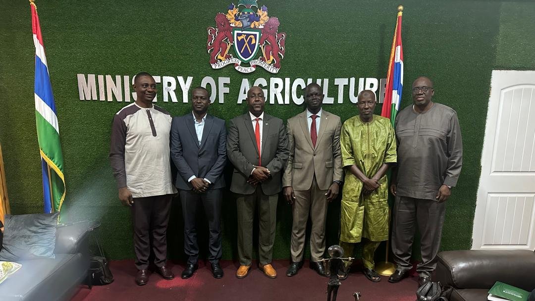 Baboucarr Manneh (@baboucarrmanne8) on Twitter photo Productive discussions with The #Gambia's Agriculture Minister Dr. Sabally and his team today! We're fast-tracking #REWARD project implementation to advance the nation's rice self-sufficiency goals. <a href="/AfricaRice/">AfricaRice</a> is committed to supporting agricultural transformation across #Africa Productive discussions with The #Gambia's Agriculture Minister Dr. Sabally and his team today! We're fast-tracking #REWARD project implementation to advance the nation's rice self-sufficiency goals. <a href="/AfricaRice/">AfricaRice</a> is committed to supporting agricultural transformation across #Africa