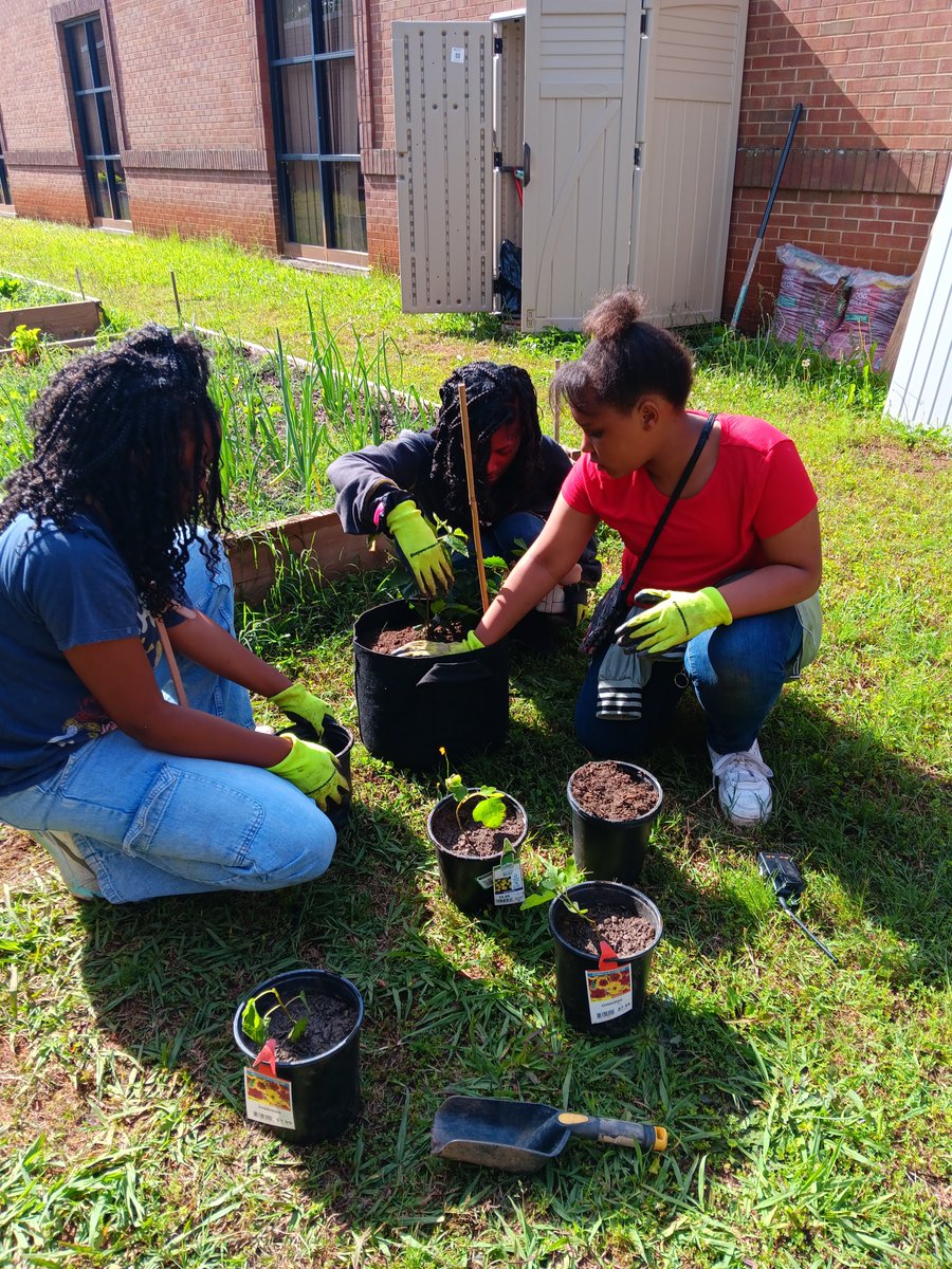 Willie Holmes tweet media