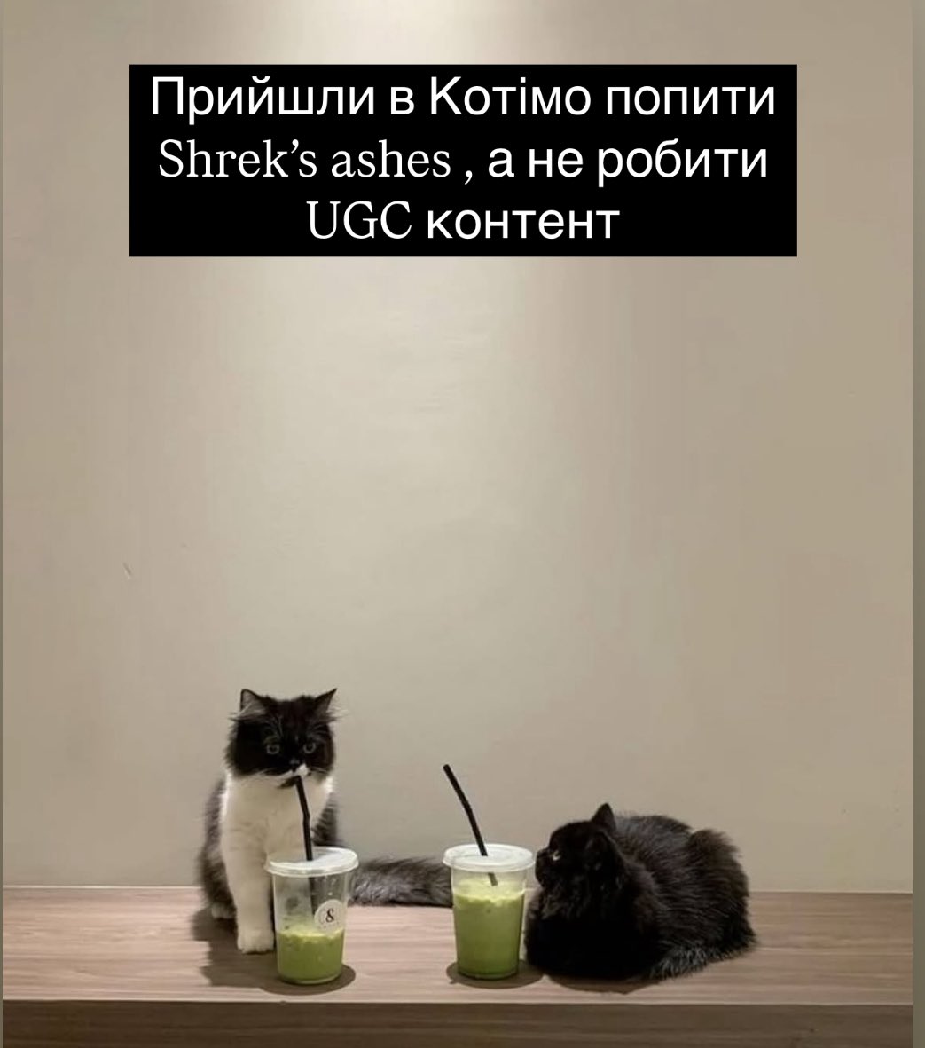 Oksana Tkachenko (@oksanatkacenko3) on Twitter photo 