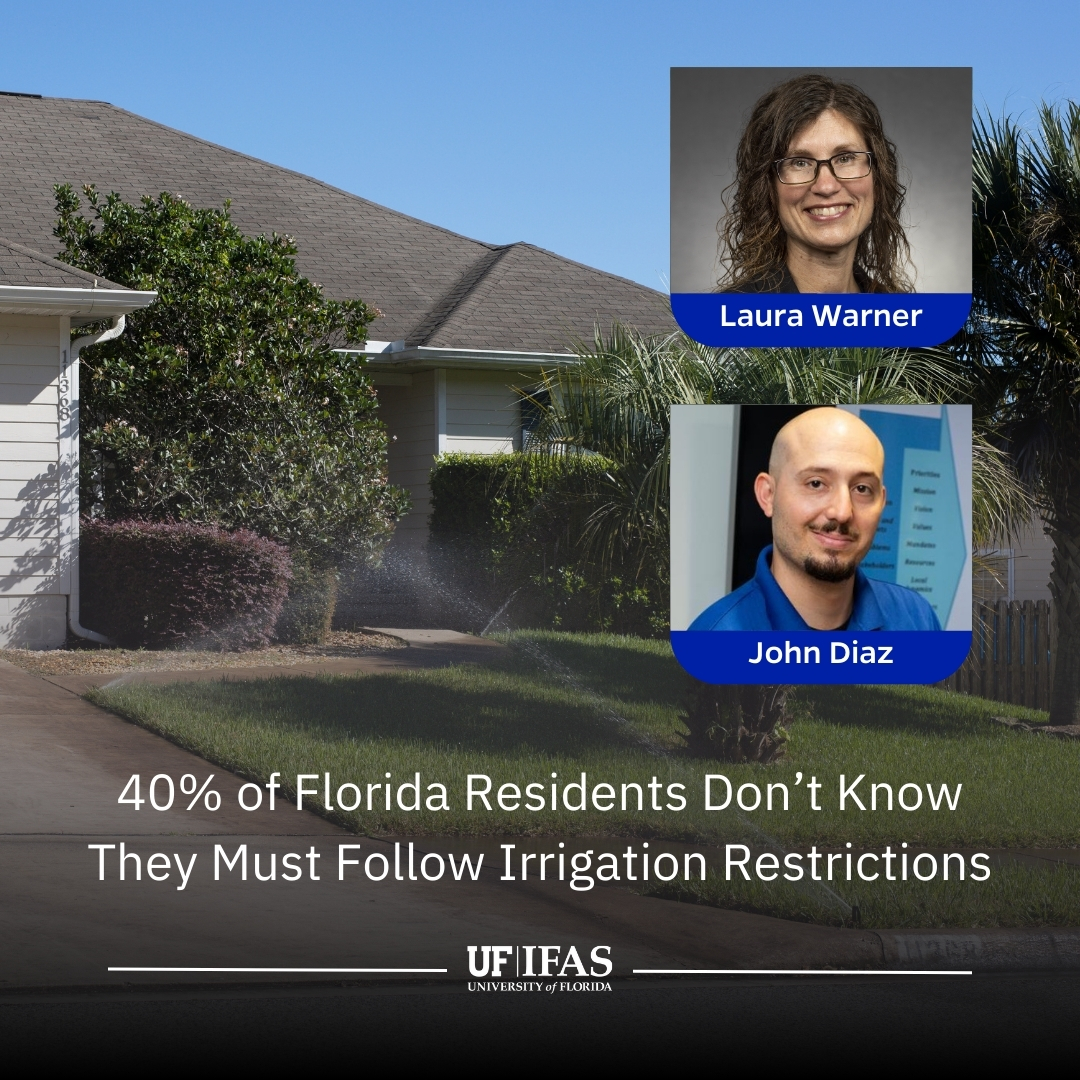 UF IFAS Solutions (@uf_ifas) on Twitter photo New <a href="/UFAEC/">UF/IFAS AEC</a> research reveals that nearly 40% of Floridians are unaware of mandatory irrigation restrictions, highlighting a critical gap in #WaterConservation compliance.
More on this study from <a href="/UFGulfCoastREC/">UF Gulf Coast REC</a> ⤵️
go.ufl.edu/irrigation New <a href="/UFAEC/">UF/IFAS AEC</a> research reveals that nearly 40% of Floridians are unaware of mandatory irrigation restrictions, highlighting a critical gap in #WaterConservation compliance.
More on this study from <a href="/UFGulfCoastREC/">UF Gulf Coast REC</a> ⤵️
go.ufl.edu/irrigation