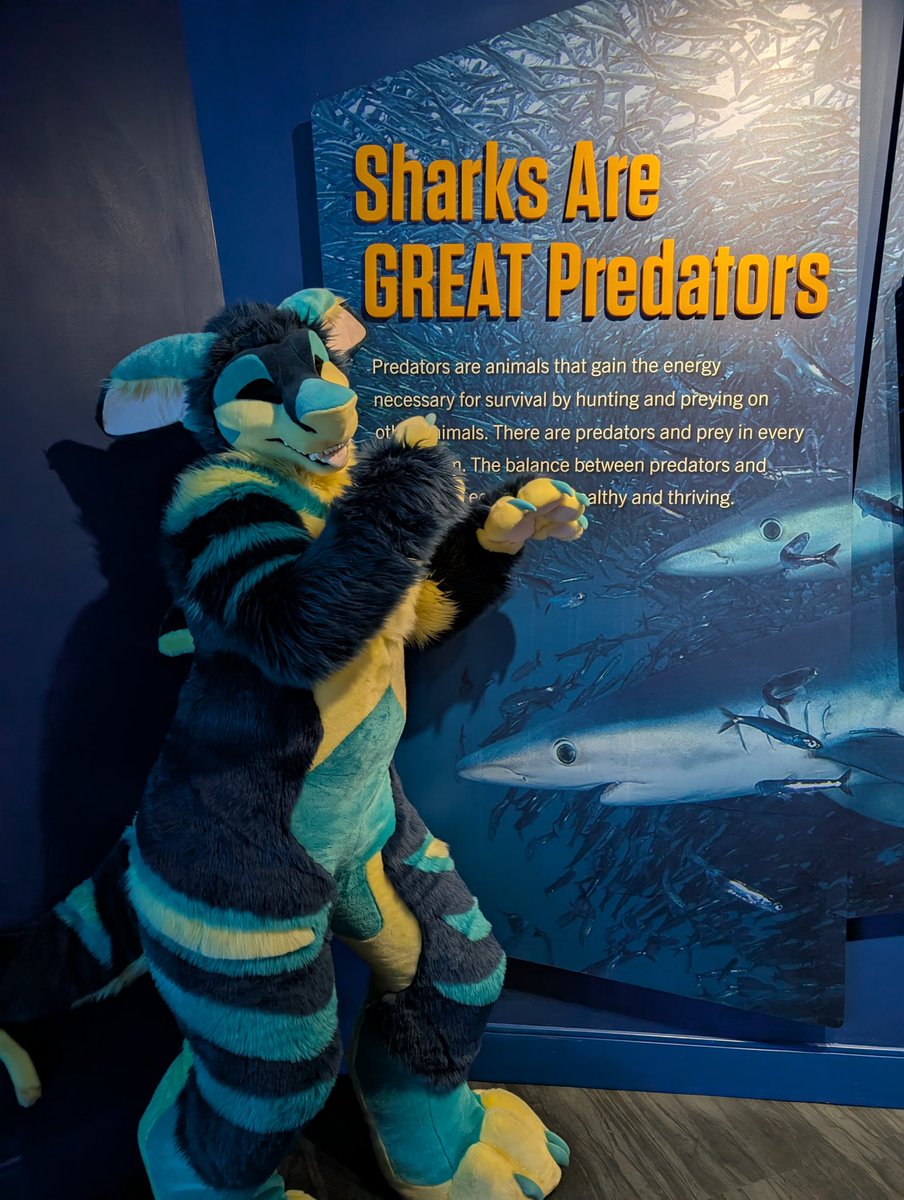Had a great time at the FWA aquarium takeover!

Didn’t you know I’m actually at the top of the food chain, or something like that… 🦈