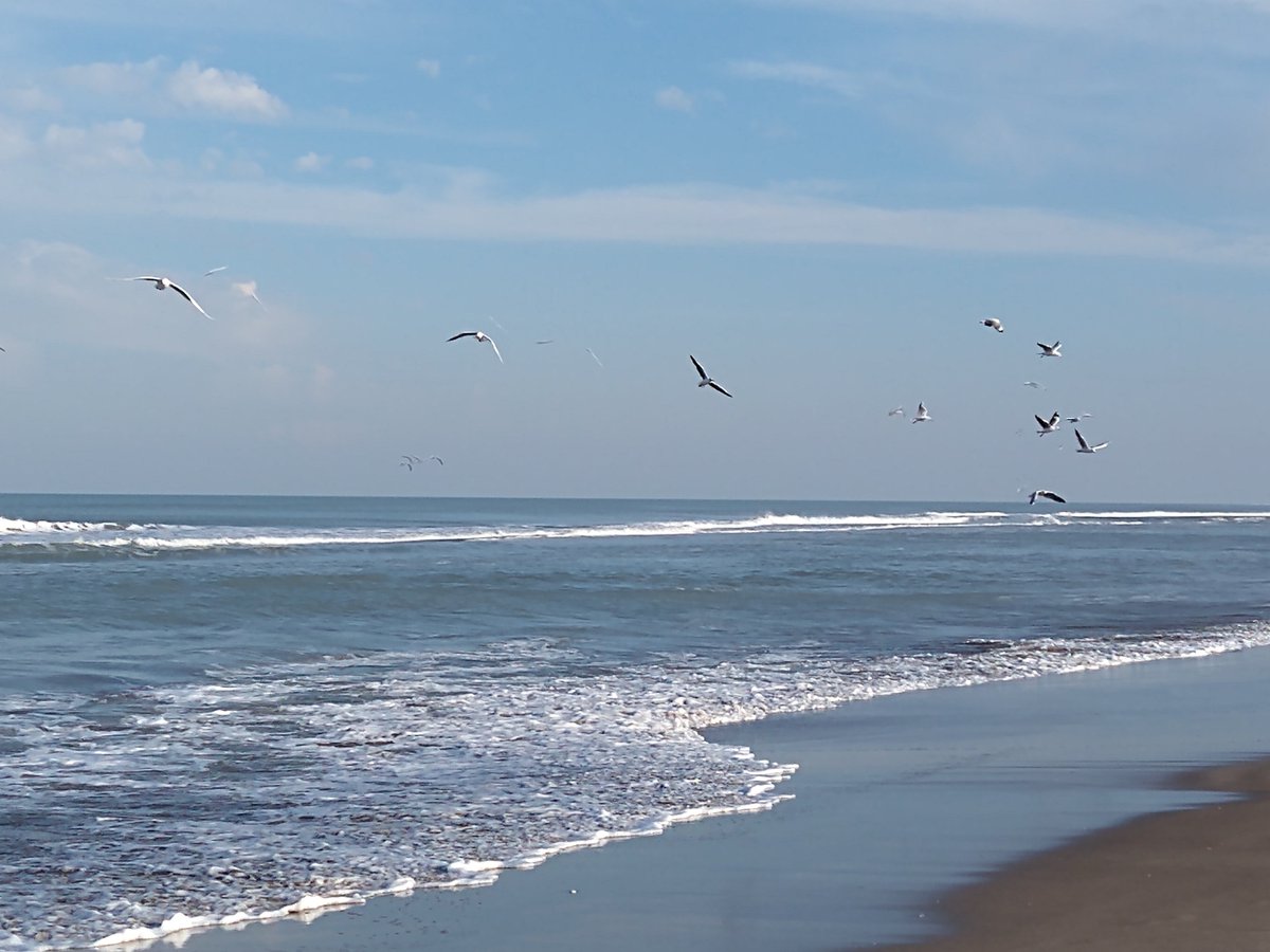 vhostende's tweet photo. “La única ventana
con vista al cielo
límpido y azul.
El día, como una felicidad secreta
en un mundo imaginado,
fugaz, impermanente.”
➽#CharlesSimic en “Local en alquiler”
#CitasVHO https://t.co/dDOwt9lR39