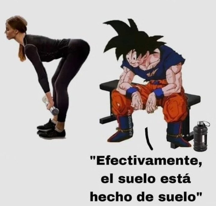 nadie:

los pibes en el gym: