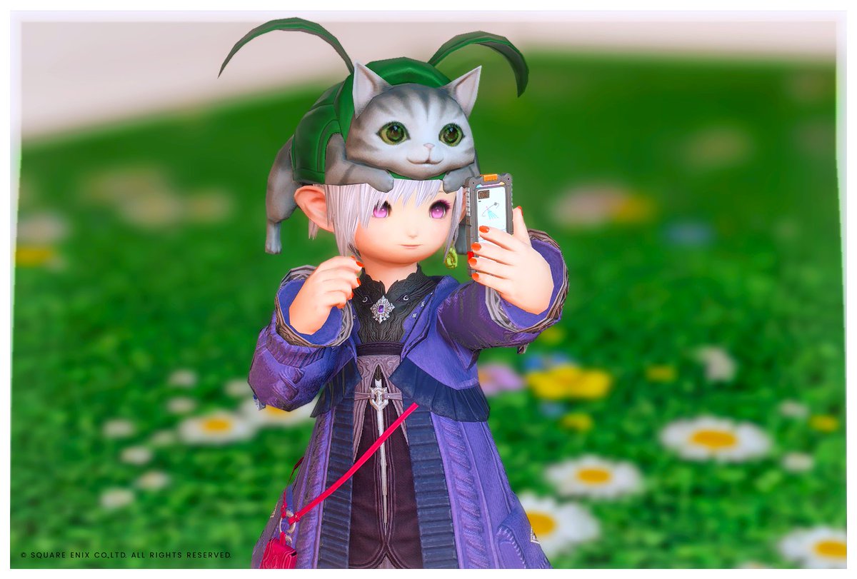 東雲 tweet media