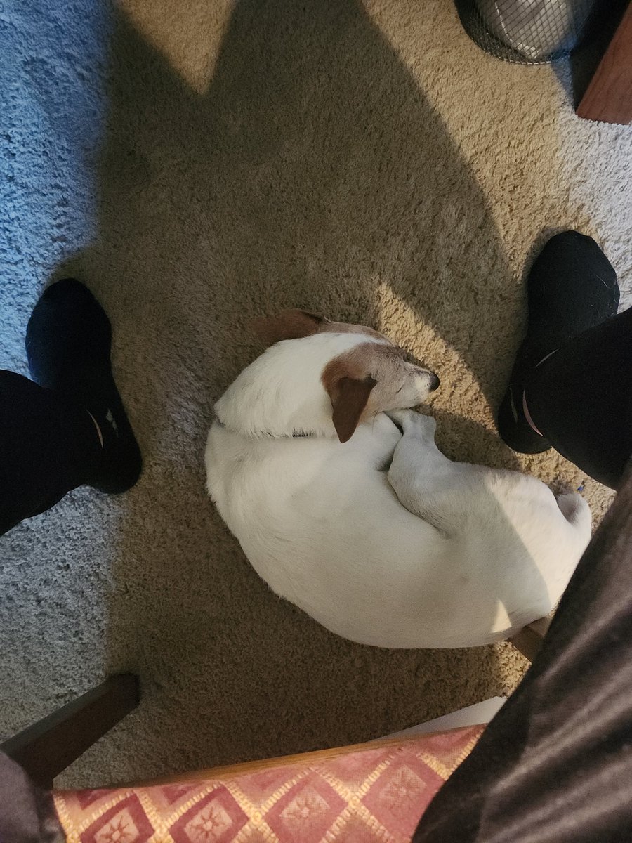 My dog lays down right under me ,totally relaxed and in complete trust that I will not step on him  or allow any harm to come to him. God is there for us to do the same thing if we will just trust Him with all of our doubts and worries.